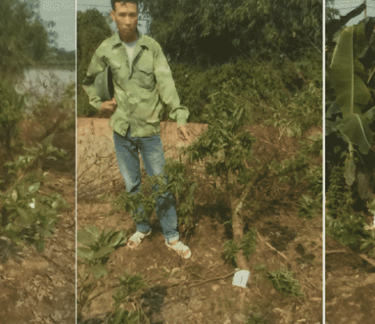Vụ án hủy hoại cây trên đất của mình tại Lục Nam (Bắc Giang): từ 'bị hại' trở thành 'bị cáo'