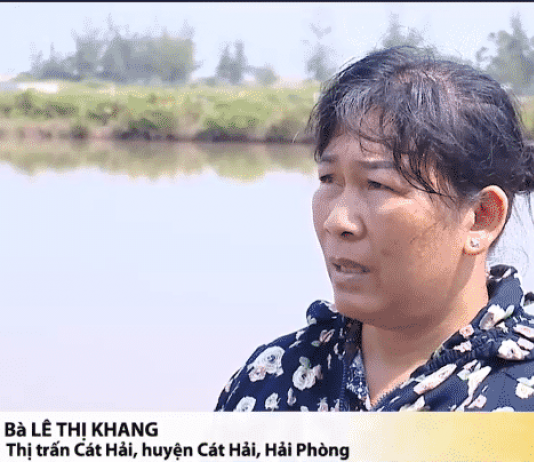 Thu hồi đất tại Cát Hải (Dự án Deep C III): Chủ tịch thành phố Hải Phòng chỉ đạo 'khẩn trương rà soát', Dân tin tưởng chờ đợi?