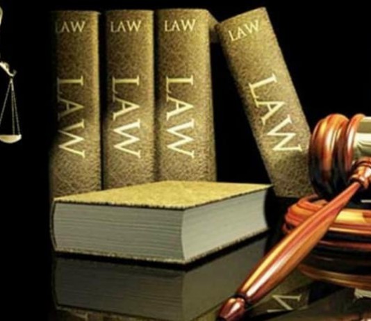 Ngân hàng chuyển nợ cho công ty thu nợ đúng không?