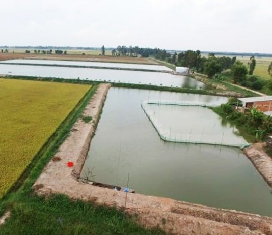 Căn cứ, định mức bồi thường tài sản khi có dự án đường đi qua?