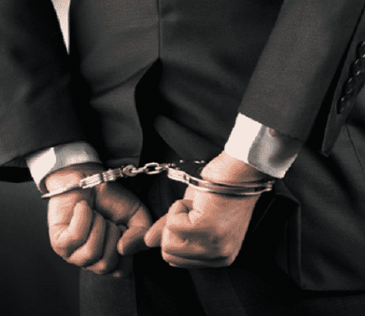 Các hình thức đồng phạm