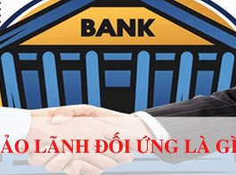 Bảo lãnh đối ứng là gì? Những trường hợp nào cần phải bảo lãnh đối ứng?