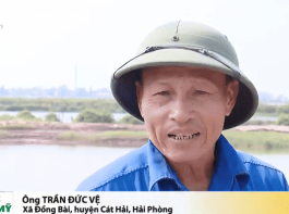 Thu hồi đất tại Cát Hải (Dự án Deep C III): Không có 'hợp đồng thuê đất', chỉ có 'hợp đồng thuê cơ sở mặt nước'