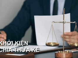 Chia thừa kế là gì? Tất tần tật về hồ sơ và trình tự thủ tục kiện chia thừa kế