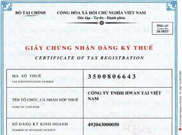 Mã số doanh nghiệp và mã số thuế doanh nghiệp có phải là một không?
