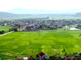 Những rủi ro khi mua đất không chính chủ