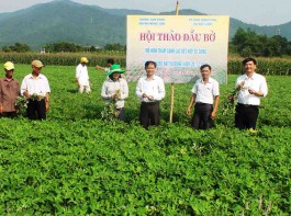 Bảo hiểm nông nghiệp là gì? Đối tượng nào được hưởng bảo hiểm nông nghiệp?