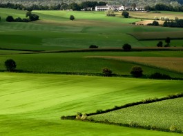 Những điều phải biết về hạn mức sử dụng đất nông nghiệp mới nhất năm 2022