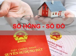 Làm sổ đỏ giả bị phạt như thế nào?