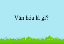 Chính sách văn hóa là gì? Nội dung chính sách văn hóa theo quy định pháp luật