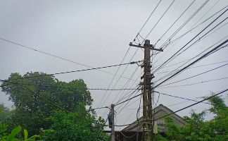 Bồi thường đất ở, cây trồng khi có đường dây điện đi qua