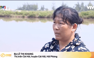 Thu hồi đất tại Cát Hải (Dự án Deep C III): Chỉ là việc 03 nông dân khiếu nại, vì sao cả Cát Hải (Hải Phòng) náo loạn?