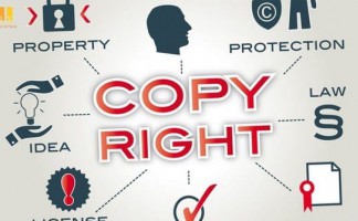 Đăng ký nhãn hiệu cho sản phẩm gạo cần phải làm như thế nào?