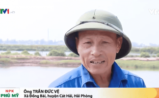 Thu hồi đất tại Cát Hải (Dự án Deep C III): Không có 'hợp đồng thuê đất', chỉ có 'hợp đồng thuê cơ sở mặt nước'