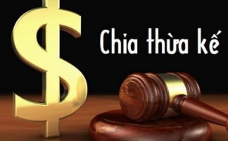 Đặc điểm phân chia di sản thừa kế trước năm 1990 theo quy định của pháp luật