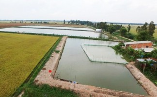 Đất đang trong diện quy hoạch có được tách thửa?