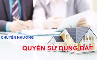 Người nước ngoài có được nhận chuyển nhượng quyền sử dụng đất tại Việt Nam?