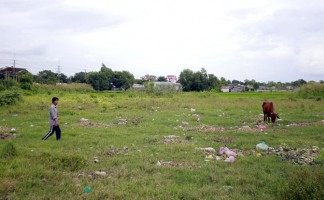 Hết thời hạn sử dụng đất nông nghiệp có phải gia hạn?