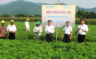 Bảo hiểm nông nghiệp là gì? Đối tượng nào được hưởng bảo hiểm nông nghiệp?