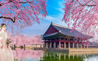 Quy trình bảo lãnh anh chị em sang hàn quốc mới nhất