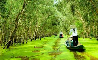 Thực trạng tài nguyên đất Việt Nam