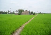 tách thửa đất